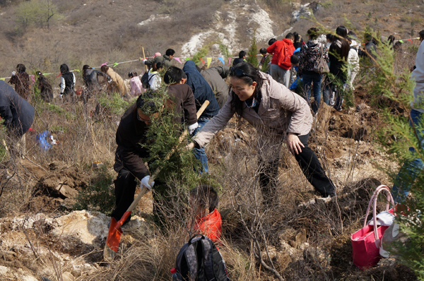 植樹(shù)現場(chǎng)